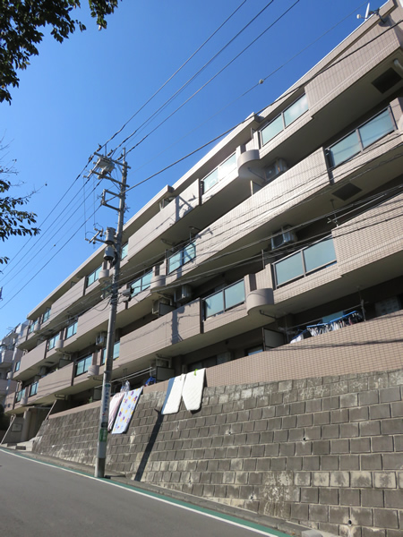 マイキャッスル宮前平の外観