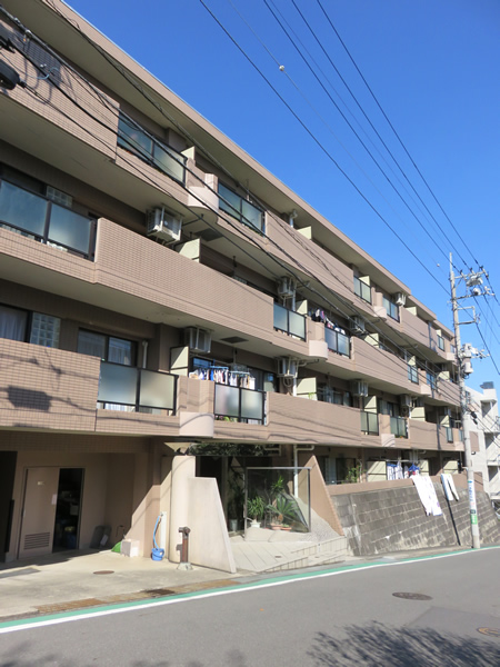 マイキャッスル宮前平の外観