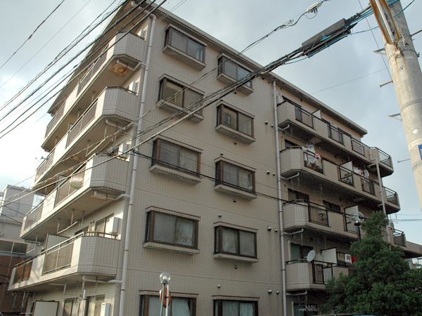 エクセレント玉川の外観