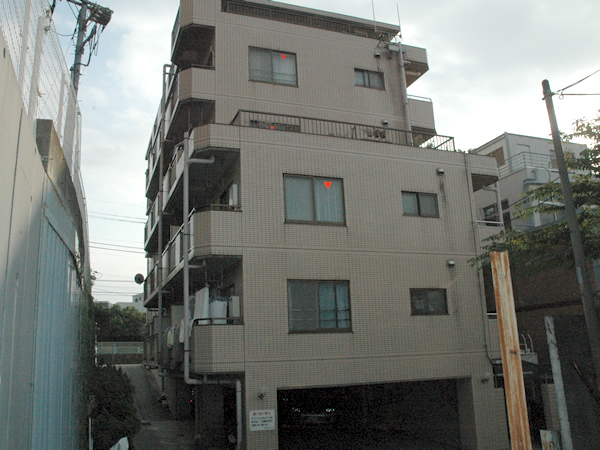 エクセレント玉川の外観