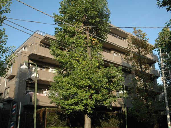 シーアイマンションたまプラーザの外観