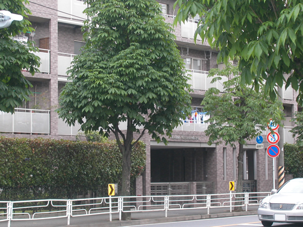 セントエルモ宮前平の外観