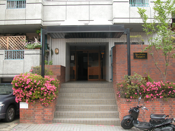 スターハイツ梶ヶ谷の外観