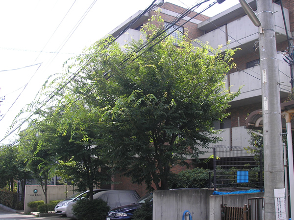 ラフィネ鷺沼コートの外観