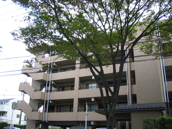 コローレ青葉台Ｂ棟の外観