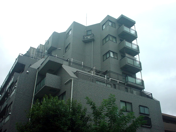 ノーブルビッグヴァン南林間の外観