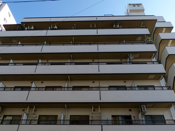 ライオンズプラザ鶴間の外観