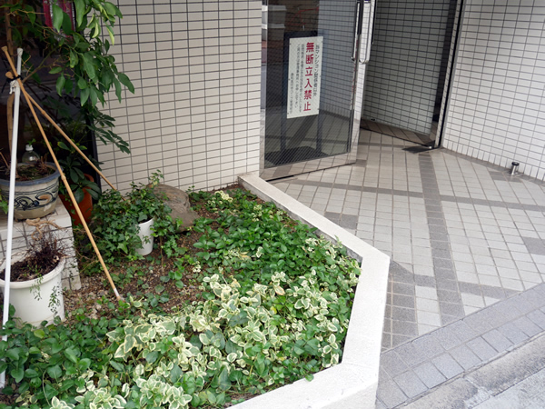 藤和高円寺コープの外観