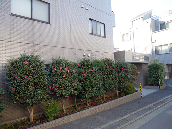 エクセルシオール高田馬場の外観