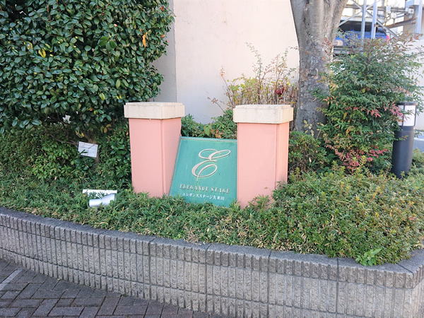 エレガンスステージ久米川の外観