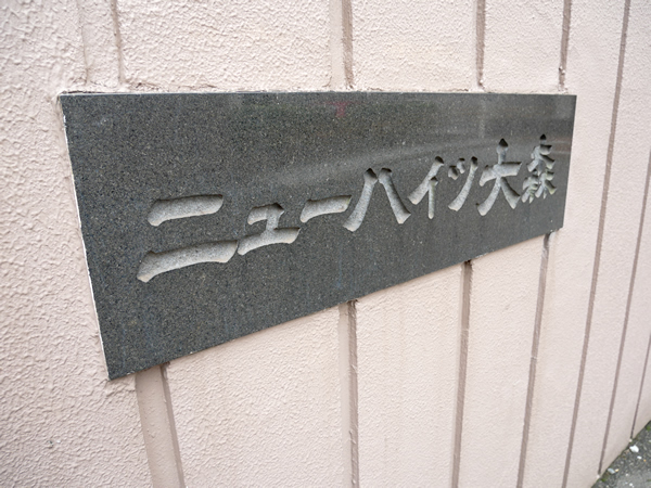 ニューハイツ大森の外観