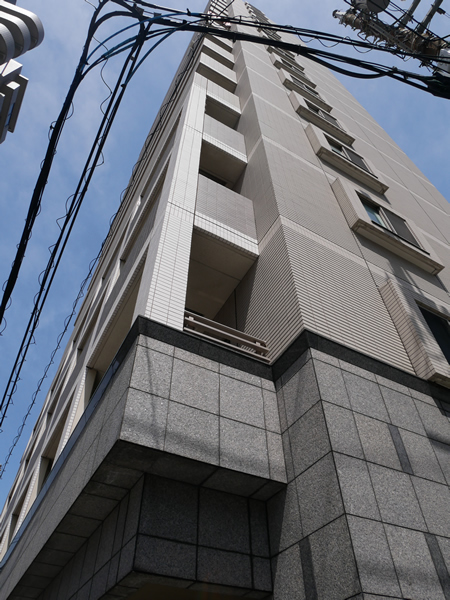 ブライズ品川南ルリオンの外観