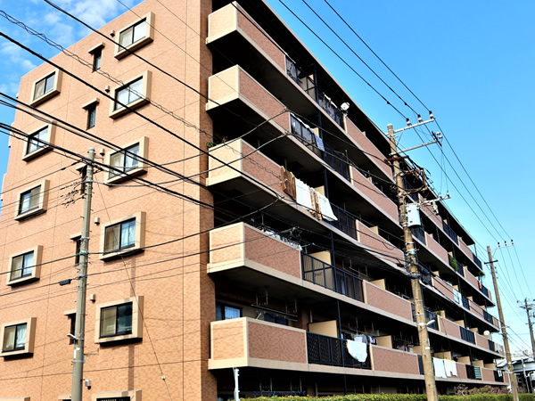 ダイアパレス小島新田ベイステーションの外観