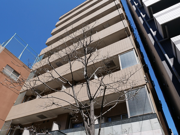 パレステュディオディム大森の外観