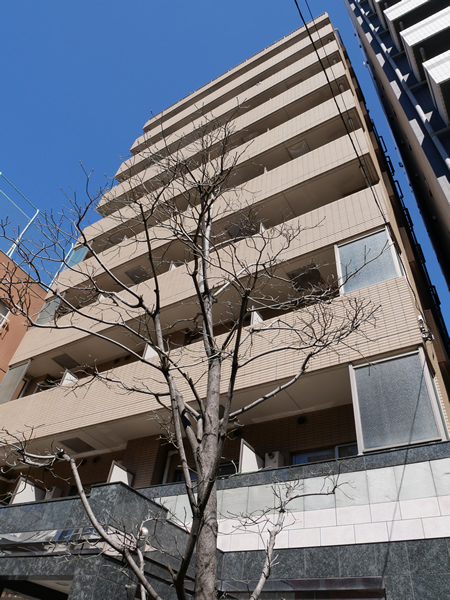 パレステュディオディム大森の外観