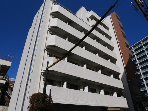 ブライズ大森ドゥエの外観