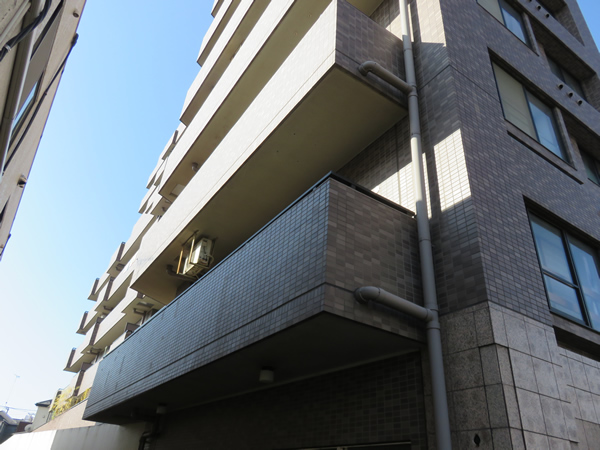 ドラゴンマンション上溝2番館の外観