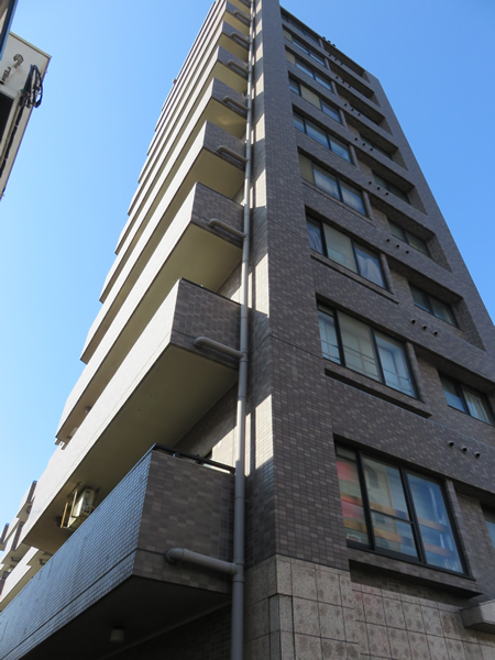 ドラゴンマンション上溝2番館の外観