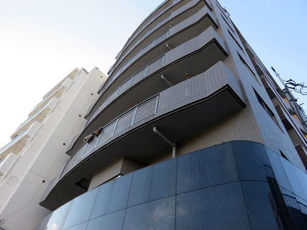 エクセルⅡ上溝の外観