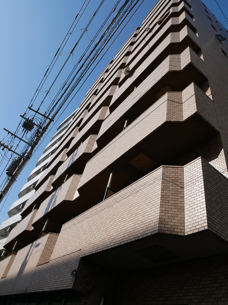 日神パレステージ石川町の外観