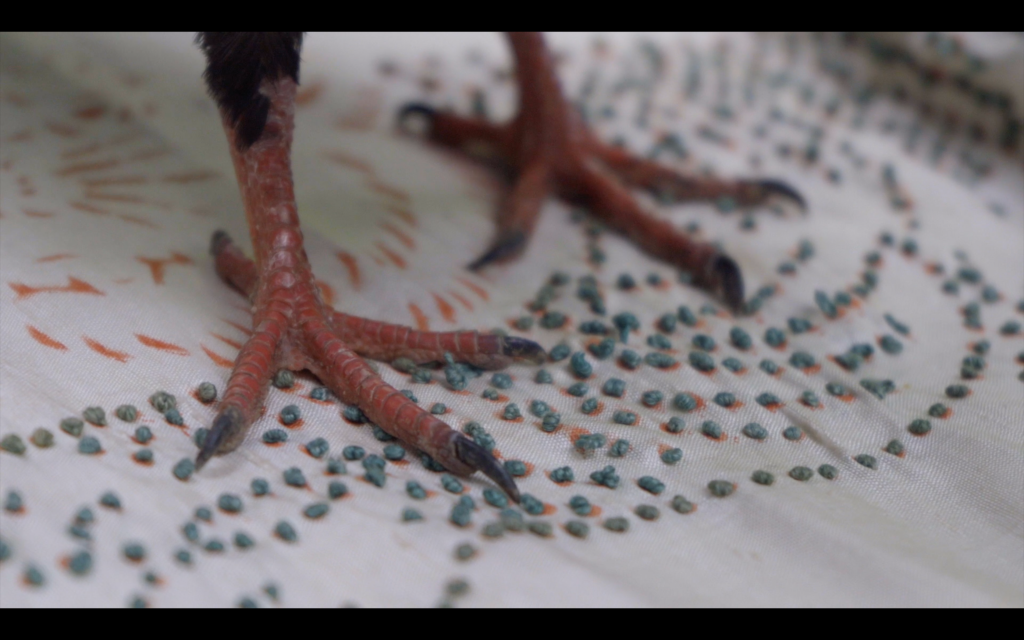 A Tiger Eaten by Pigeons | Aura Asia Contemporary Art Project