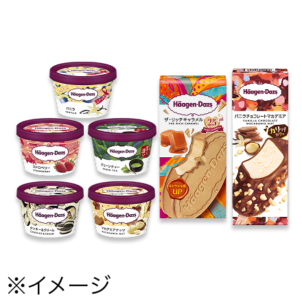 ハーゲンダッツ　各種　いずれか1点（税込351円）引換券