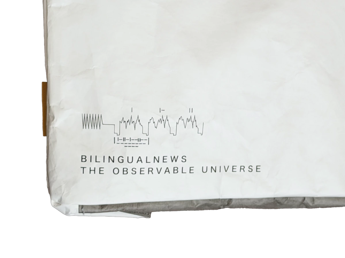 Bilingual News テキストディテール