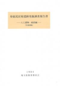 DSKDZO4001786030032012NNP000-3