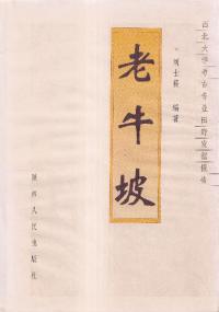 老牛坡 西北大学考古専業田野発掘報告