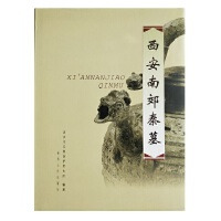 西安南郊秦墓