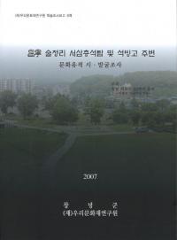 昌寧 술정리 서삼층석탑 및 석빙고 주변 문화유적 시・발굴조사 (昌寧述亭里西三層石塔及び石氷庫周辺文化遺蹟試・発掘調査)