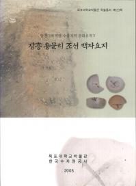 탐진다목적댐 수몰지역 문화유적 5 장흥 용문리 조선 백자요지 (耽津多目的ダム水没地域文化遺跡5 長興龍門里朝鮮白磁窯址)