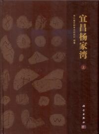 ̲ѡ岼