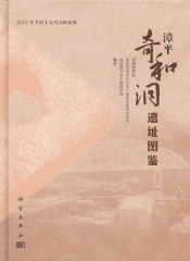 漳ʿƶԮ޴