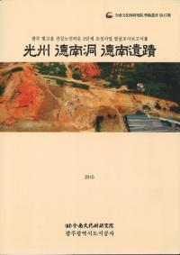 光州徳南洞徳南遺蹟
