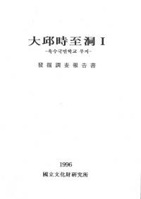 大邱時至洞1 発掘調査報告書