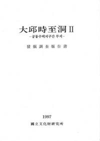 大邱時至洞2 発掘調査報告書