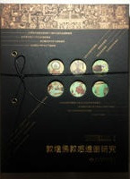 ʩ̲踦