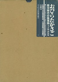 Ӥ餿ʸνס(ʸ)