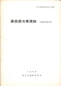 裏慈恩寺東遺跡 試掘調査報告書