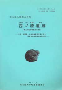 西ノ原遺跡 縄文時代中期集落の調査