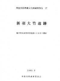 新羽大竹遺跡