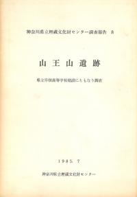 山王山遺跡