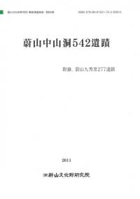 蔚山 中山洞 542遺蹟