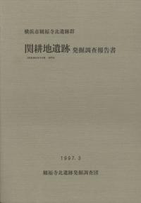 発掘調査報告書 | 古書 | 歴史・考古学専門書店 六一書房