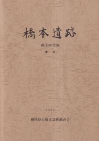 橋本遺跡7 縄文時代編
