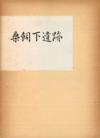 桑飼下遺跡発掘調査報告書