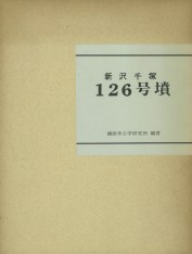 新沢千塚126号墳