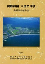 阿波海南 大里2号墳発掘調査報告書