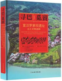 賨壩Ԯʸʪ